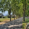 Allee vor Villanova d'Escomalbou