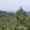 Blick vom Coll Roig ins Hinterland