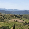 Weingebaut el Priorat / Montsant