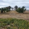 Promenade am Meer