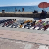 Sightseeing dem Meer entlang
