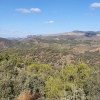 Torroja del Priorat