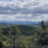 La Figuera