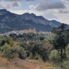 Tivissa