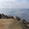 Steinmännchen am Meer