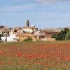 Moonblumenfeld vor Marca