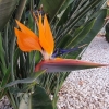 Im Hotelgarten