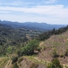 Zwischen Porrera und Falset