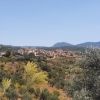 el Masroig