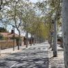 Allee in Villanova d'Escornalbou