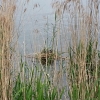 besser versteckt