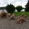 Fundstücke aus dem Rechen