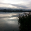 Novemberstimmung am Klingnauer Stausee