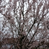 Frühling