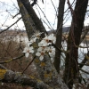 Frühling am Klingnauer Stausee