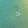Versenktes Rad im Klingnauer Stausee
