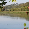 Herbststimmung am Klingnauer Stausee