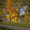 Herbst am Klingnauer Stausee
