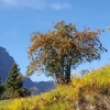 Auf dem Weg zur Torrentalpe hinauf