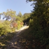 ehemaliges Bahntrasse