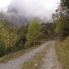 Herbstimpression