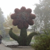 Riesenblume
