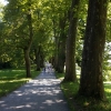 Platanenweg