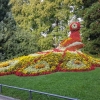 Blumenpfau