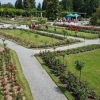 Rosengarten