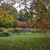 Herbstliche Insel Mainau