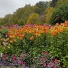 herbstliche Insel Mainau