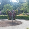 Blumeninsel