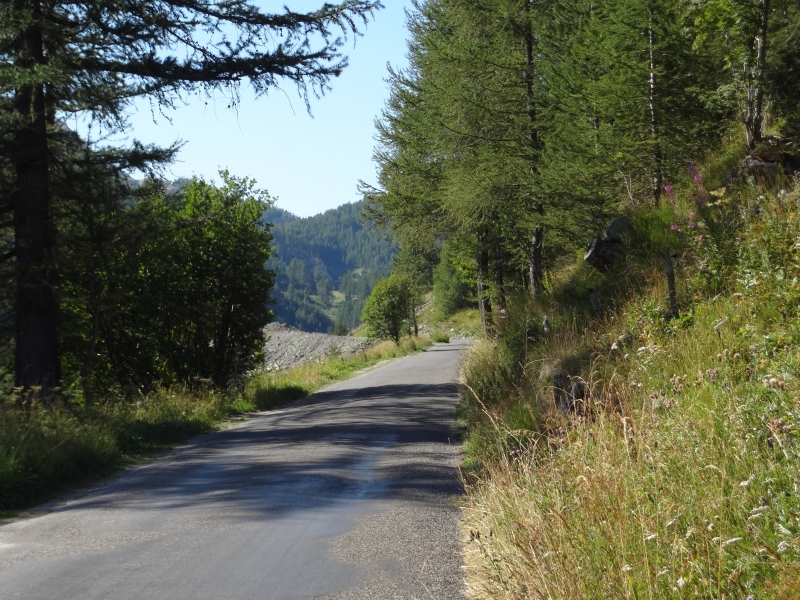 Auffahrt zum Col de la Cayolle