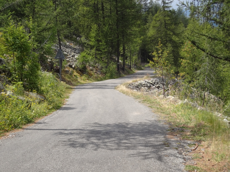 Passstrasse vom Col des Champs ins Allos Tal