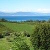 am Neuenburgersee