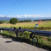 ein letzter Blick auf den Jura
