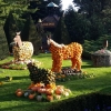 Herbstzeit