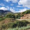 Auffahrt zum Monte Albo