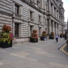 Blumen vor dem Rathaus