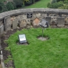 Friedhof der Hunde von Soldaten