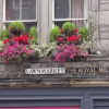 The Royl Mile (vom Palace of Holyroodhouse zum Castle)