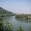 Blick dem Rhein entlang hinunter