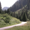 Blick zurück im Tal der Jll