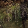 Wasseraustritt in der Beatus-Höhle