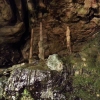 Stalagnitten in der Beatus-Höhle
