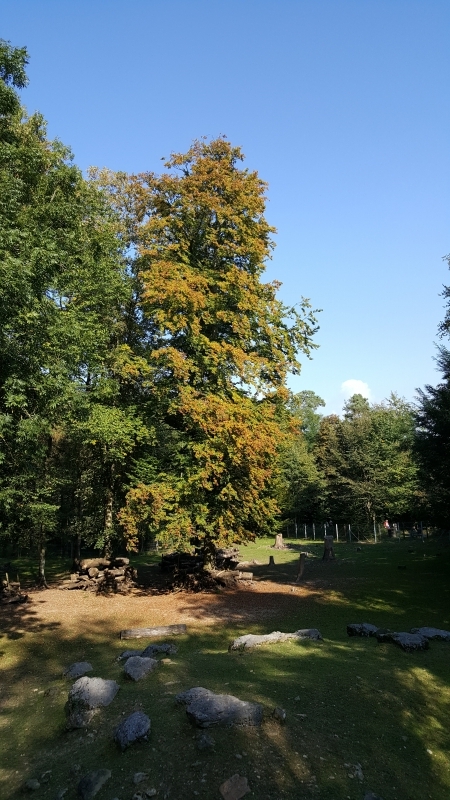 Herbst