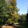 Herbst