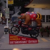 Bären in Andermatt