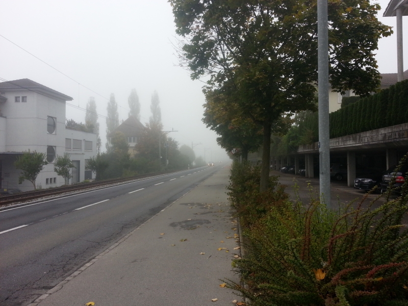 Hochdorf im Nebel