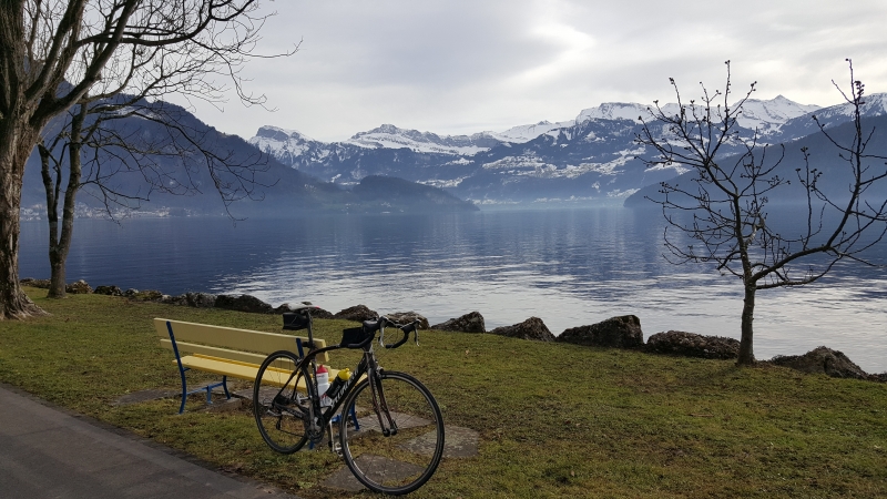 am Vierwaldstättersee